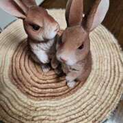 ヒメ日記 2025/05/30 22:57 投稿 福永 あなたに逢いたくて