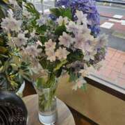 ヒメ日記 2025/06/15 12:27 投稿 福永 あなたに逢いたくて