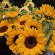 ヒメ日記 2025/07/01 13:37 投稿 福永 あなたに逢いたくて