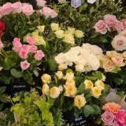 ヒメ日記 2025/07/04 12:57 投稿 福永 あなたに逢いたくて