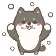 ヒメ日記 2025/12/30 12:54 投稿 福永 あなたに逢いたくて