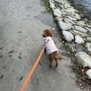 ヒメ日記 2025/12/25 18:35 投稿 天河 ゆかり 30代40代50代と遊ぶなら博多人妻専科24時