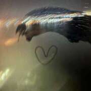 ヒメ日記 2026/02/10 17:46 投稿 天河 ゆかり 30代40代50代と遊ぶなら博多人妻専科24時