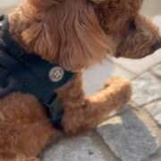 ヒメ日記 2026/02/22 19:43 投稿 天河 ゆかり 30代40代50代と遊ぶなら博多人妻専科24時