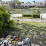 ヒメ日記 2026/04/08 09:55 投稿 天河 ゆかり 30代40代50代と遊ぶなら博多人妻専科24時