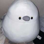 ヒメ日記 2025/11/11 09:59 投稿 りん 激安ドットコム