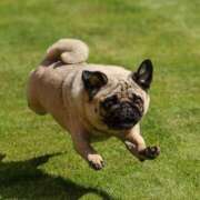 ヒメ日記 2026/01/12 12:02 投稿 りん 激安ドットコム