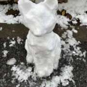 ヒメ日記 2026/02/15 09:16 投稿 りん 激安ドットコム