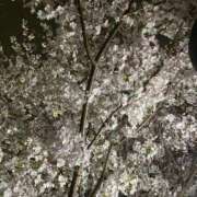 ヒメ日記 2026/04/02 12:20 投稿 りん 激安ドットコム