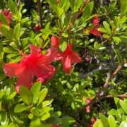 ヒメ日記 2025/05/07 14:01 投稿 飯田 こはる 絢(あや)