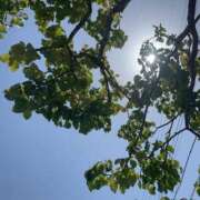 ヒメ日記 2025/05/20 11:01 投稿 飯田 こはる 絢(あや)