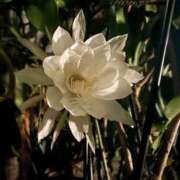 ヒメ日記 2025/09/29 23:00 投稿 かのん CLASSY.名古屋・新栄店