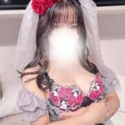 ヒメ日記 2026/03/15 17:50 投稿 かのん CLASSY.名古屋・新栄店