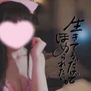 ヒメ日記 2025/03/31 09:30 投稿 なみ【ナンバー嬢候補！！】 ソープランド看護学院ディエックス