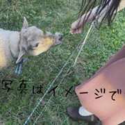 ヒメ日記 2025/10/07 10:04 投稿 なみ【ナンバー嬢候補！！】 ソープランド看護学院ディエックス