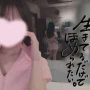 ヒメ日記 2025/11/04 06:48 投稿 なみ【ナンバー嬢候補！！】 ソープランド看護学院ディエックス