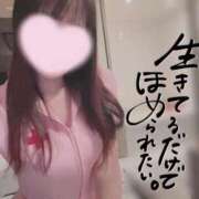 ヒメ日記 2025/11/10 06:58 投稿 なみ【ナンバー嬢候補！！】 ソープランド看護学院ディエックス