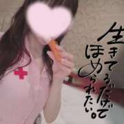 ヒメ日記 2025/11/24 23:38 投稿 なみ【ナンバー嬢候補！！】 ソープランド看護学院ディエックス