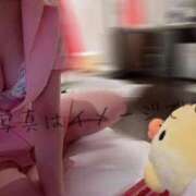 ヒメ日記 2025/12/14 06:55 投稿 なみ【ナンバー嬢候補！！】 ソープランド看護学院ディエックス