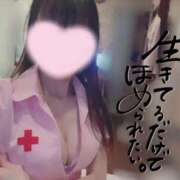 ヒメ日記 2025/12/16 12:08 投稿 なみ【ナンバー嬢候補！！】 ソープランド看護学院ディエックス