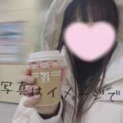 なみ【ナンバー嬢候補！！】 〇度寝の最終形態🐶🤍💤 ソープランド看護学院ディエックス