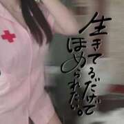 ヒメ日記 2026/03/12 06:48 投稿 なみ【ナンバー嬢候補！！】 ソープランド看護学院ディエックス