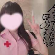 ヒメ日記 2026/04/02 09:08 投稿 なみ【ナンバー嬢候補！！】 ソープランド看護学院ディエックス