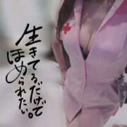 ヒメ日記 2026/04/14 12:16 投稿 なみ【ナンバー嬢候補！！】 ソープランド看護学院ディエックス