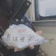 ヒメ日記 2026/04/15 12:18 投稿 なみ【ナンバー嬢候補！！】 ソープランド看護学院ディエックス