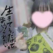 ヒメ日記 2026/06/02 09:28 投稿 なみ【ナンバー嬢候補！！】 ソープランド看護学院ディエックス