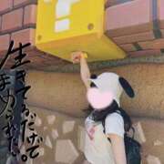 ヒメ日記 2026/06/03 12:20 投稿 なみ【ナンバー嬢候補！！】 ソープランド看護学院ディエックス