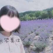 ヒメ日記 2026/08/15 12:18 投稿 なみ【ナンバー嬢候補！！】 ソープランド看護学院ディエックス