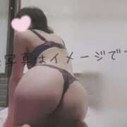 なみ【ナンバー嬢候補！！】 1つじゃなくていいよね🐶‎🤍❔ ソープランド看護学院ディエックス