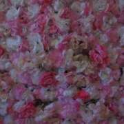 ヒメ日記 2025/03/25 14:06 投稿 ほむほむ イクイクサークル鶯谷店