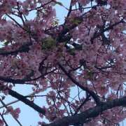 ヒメ日記 2025/03/26 12:27 投稿 ほむほむ イクイクサークル鶯谷店