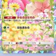 ヒメ日記 2025/03/27 12:26 投稿 ほむほむ イクイクサークル鶯谷店