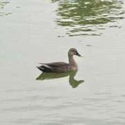 ヒメ日記 2025/06/13 14:56 投稿 ほむほむ イクイクサークル鶯谷店