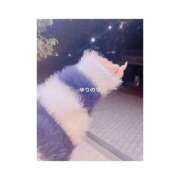 ヒメ日記 2025/10/26 23:20 投稿 ゆりの リアル 梅田店