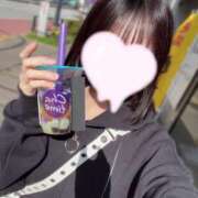 ヒメ日記 2025/03/14 14:28 投稿 一ノ瀬あおい JKリフレ東京 池袋店