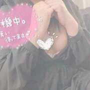 ヒメ日記 2025/03/08 15:59 投稿 そら 鶯谷スピン