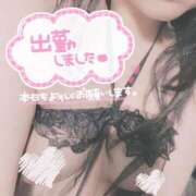 ヒメ日記 2025/04/10 15:29 投稿 そら 鶯谷スピン