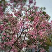 ヒメ日記 2025/03/27 20:53 投稿 美春 CLASSY（クラッシー）.神戸