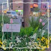 ヒメ日記 2025/04/20 06:29 投稿 美春 CLASSY（クラッシー）.神戸