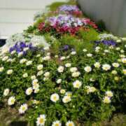 ヒメ日記 2025/05/16 06:43 投稿 美春 CLASSY（クラッシー）.神戸