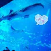 ヒメ日記 2025/07/16 08:32 投稿 美春 CLASSY（クラッシー）.神戸