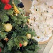 ヒメ日記 2025/12/04 16:10 投稿 美春 CLASSY（クラッシー）.神戸