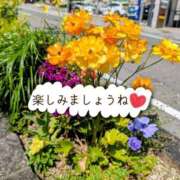 ヒメ日記 2026/04/05 07:56 投稿 美春 CLASSY（クラッシー）.神戸