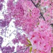 ヒメ日記 2025/03/30 17:19 投稿 小倉（おぐら） Exe～エグゼ～