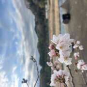 ヒメ日記 2025/04/04 19:10 投稿 小倉（おぐら） Exe～エグゼ～