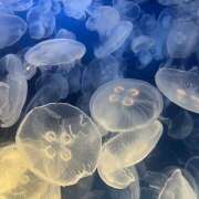 ヒメ日記 2025/04/06 12:55 投稿 小倉（おぐら） Exe～エグゼ～